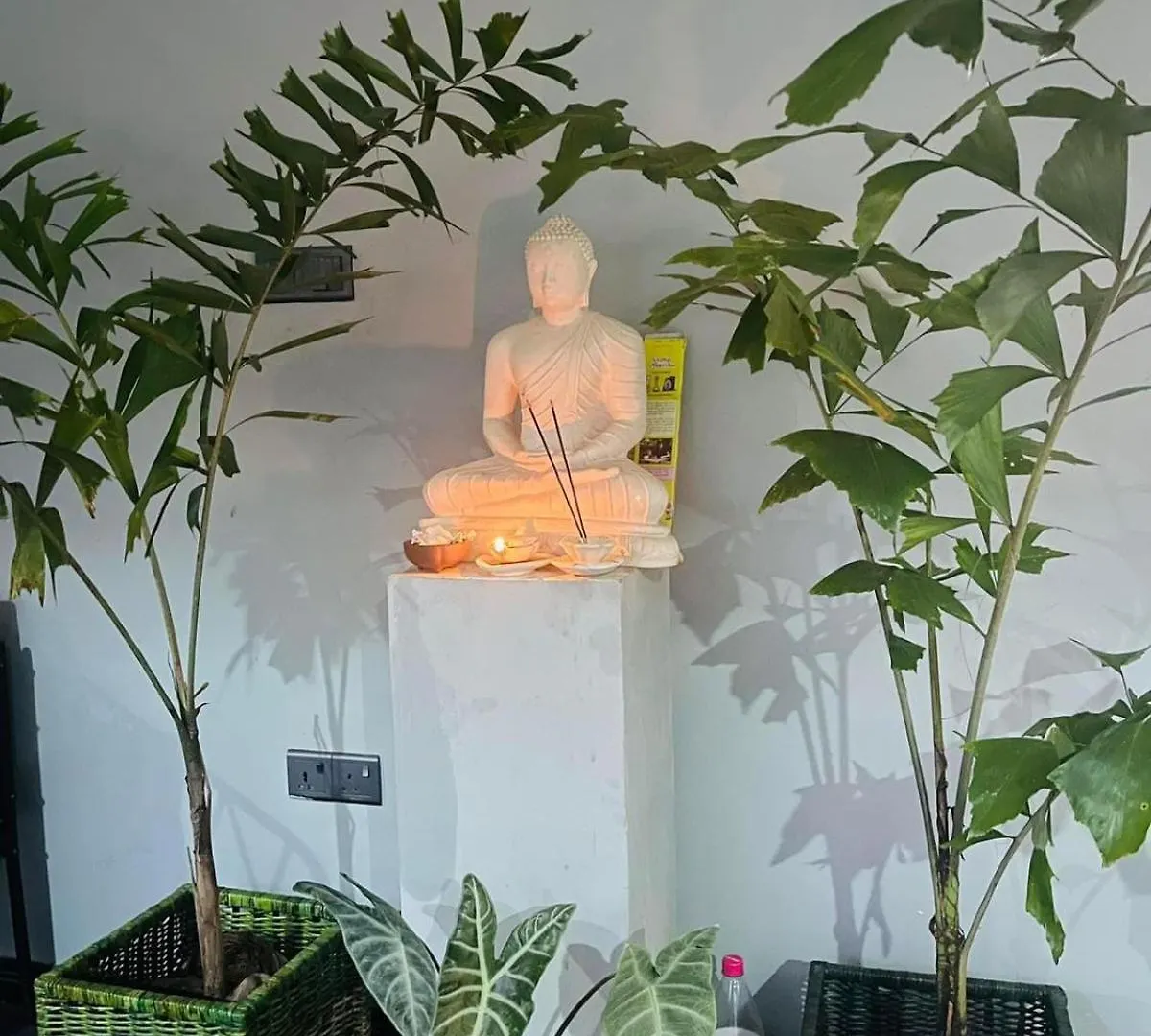 Amanzi Residence Kandy Penzion